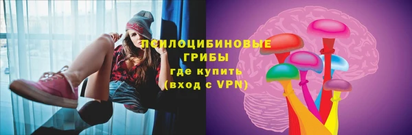 синтетический гашиш Няндома