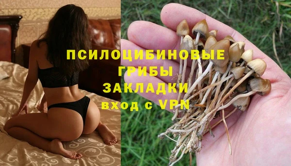 прущая мука Новозыбков