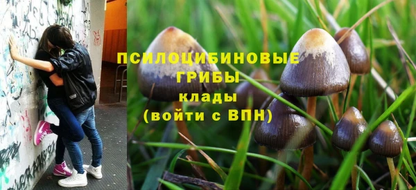 прущая мука Новозыбков