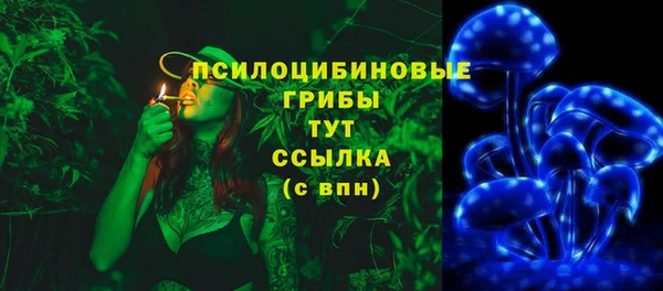 ГАЛЛЮЦИНОГЕННЫЕ ГРИБЫ Новокубанск