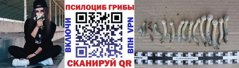 даркнет сайт  Артёмовск  площадка официальный сайт  Галлюциногенные грибы GOLDEN TEACHER 